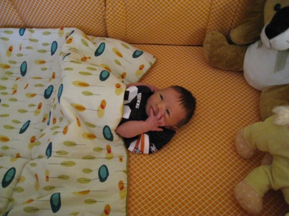 Henry in Crib, in Browns Jersey